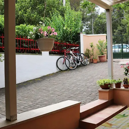 Katarina לינה וארוחת בוקר