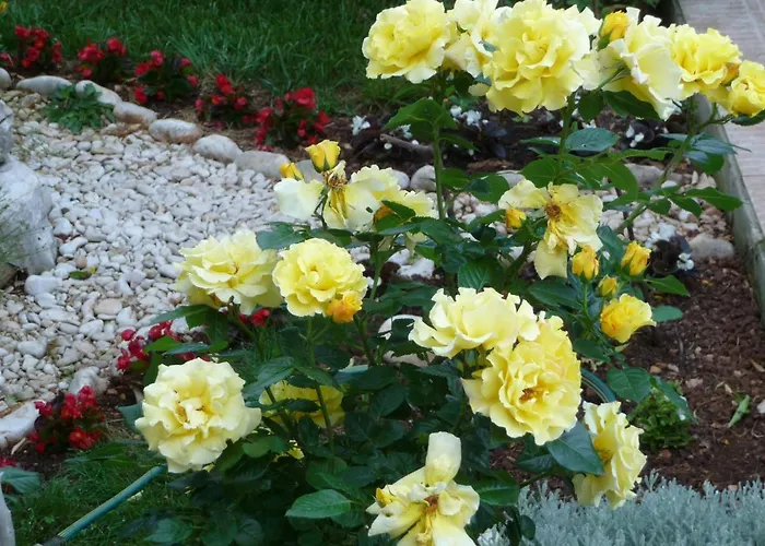 Katarina Bed & Breakfast Mali Lošinj